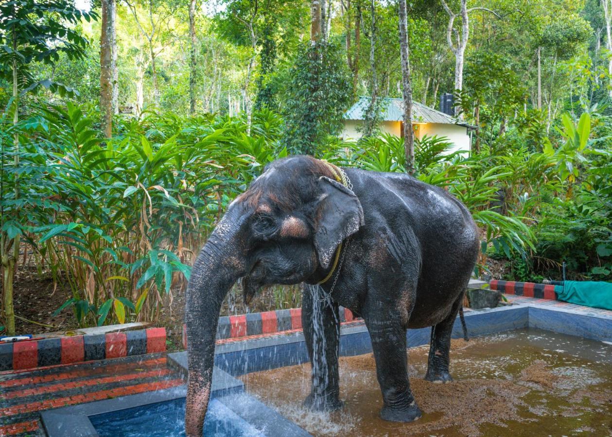 Amritara Shalimar Spice Garden Resort & Spa Thekkady Luaran gambar