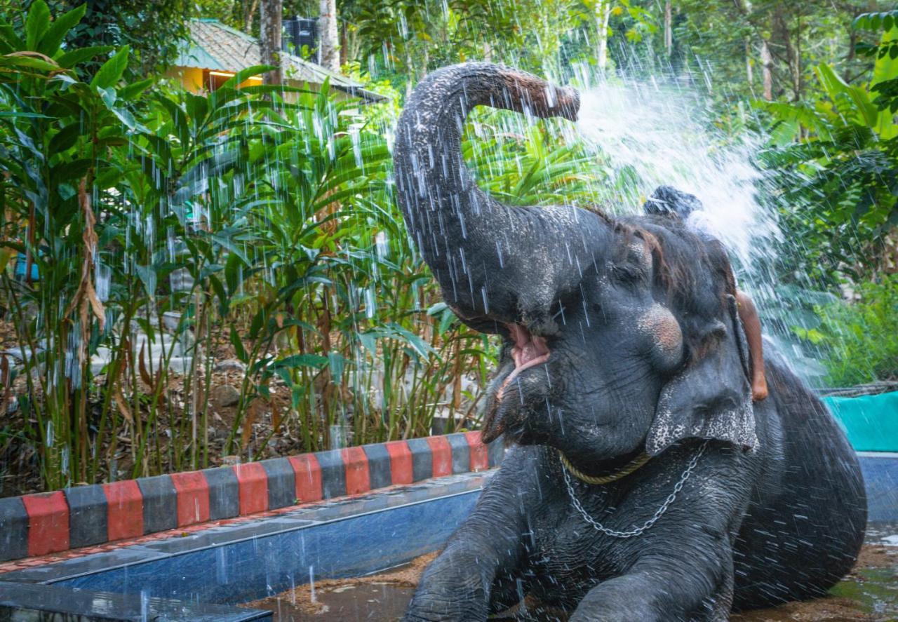 Amritara Shalimar Spice Garden Resort & Spa Thekkady Luaran gambar